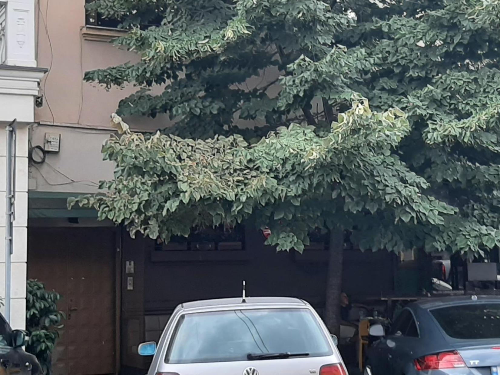 Yes Apartment Тирана Стая снимка
